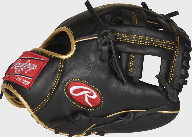 2021 R9 Series 9.5-Inch Training Glove loading=